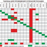Savjeti za vrtlare početnike - odakle početi da biste dobili dobru žetvu